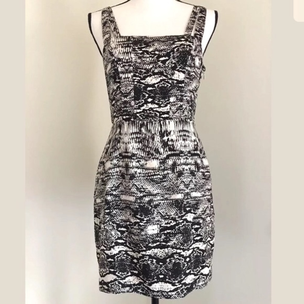 Urban Outfitters Silence + Noise Tan & Black Dress